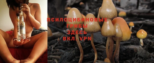 твердый Медногорск