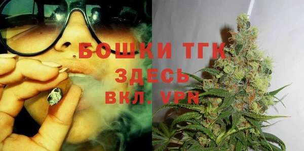 твердый Медногорск