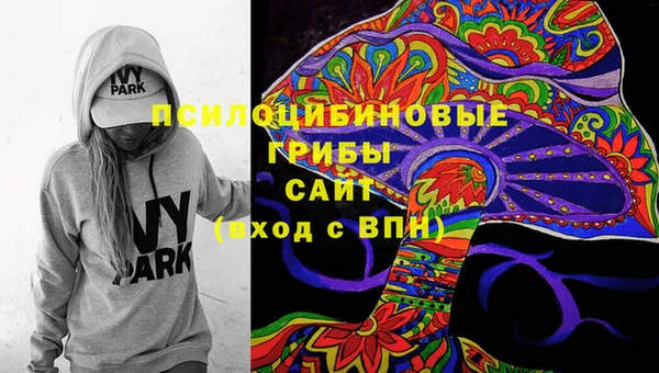 мдпв Медвежьегорск